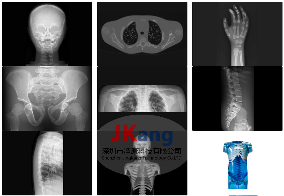 CIRS 715儿童仿真模体,CIRS 715儿科拟人训练模型