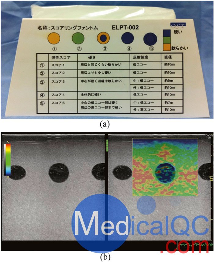 ELPT-002弹性成像模型，ELPT-002弹性成像模体